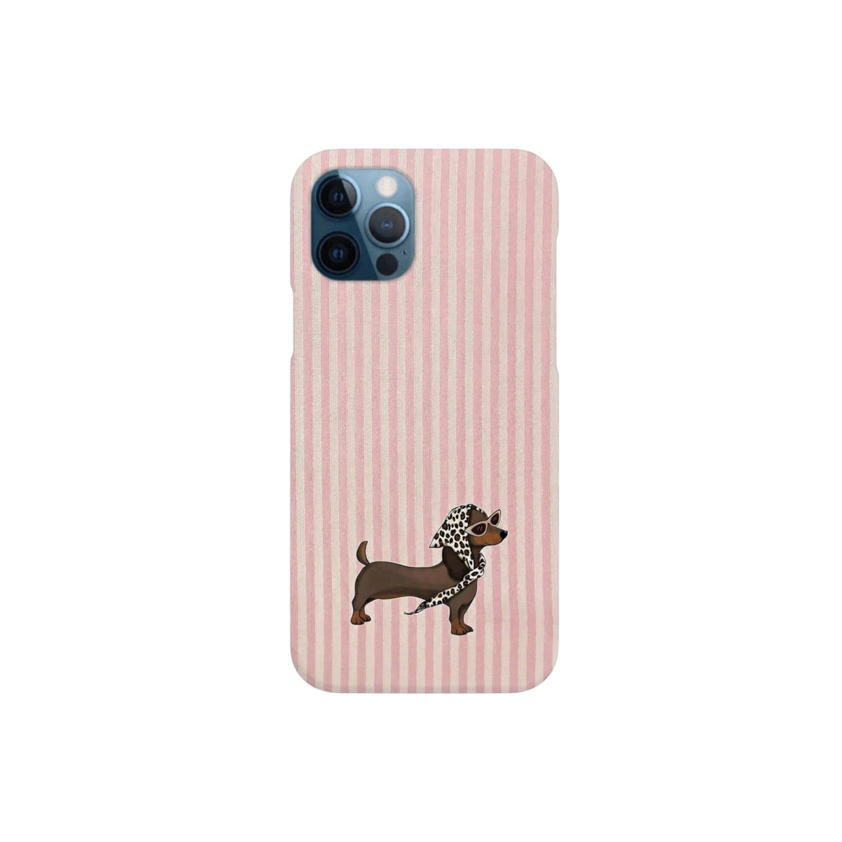 DOG 5-CASE UV