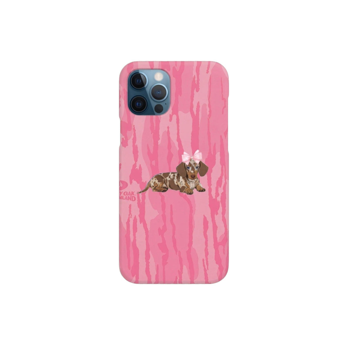 DOG 4-CASE UV