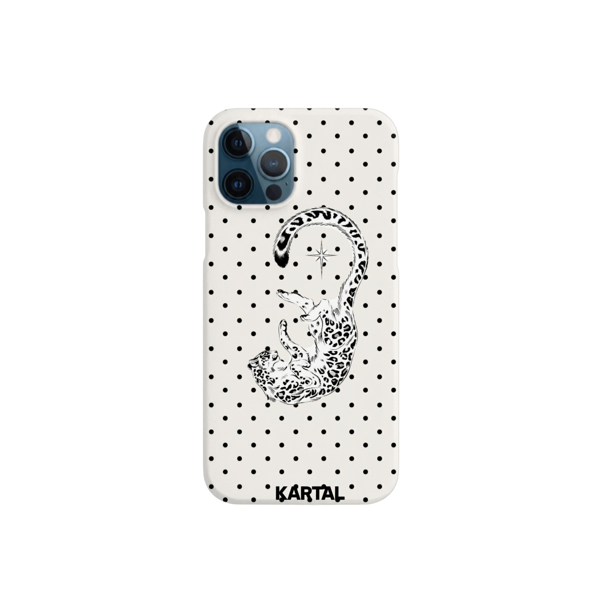 CASE UV